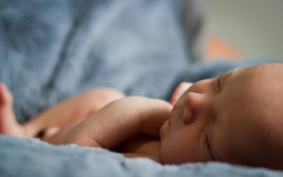 Overvejelserne? Babydyner og juniordyner